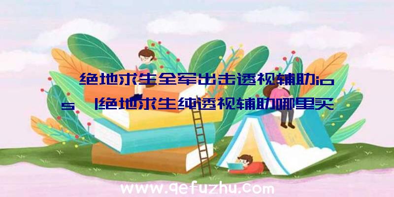 「绝地求生全军出击透视辅助ios」|绝地求生纯透视辅助哪里买